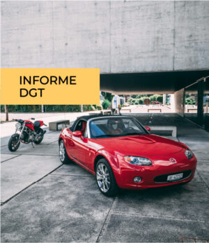 Informe de vehículo