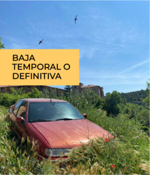 Baja temporal o definitiva