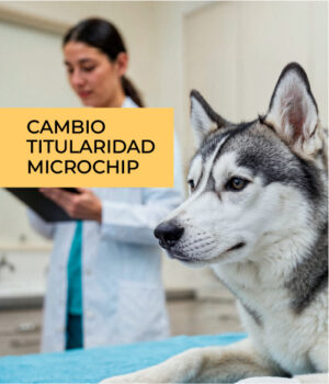 Cambio de titularidad del microchip