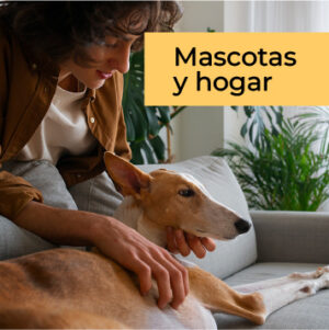 Mascotas y hogar
