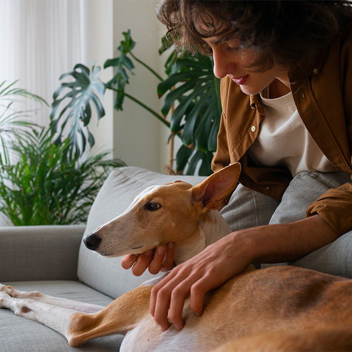 Chica con su perro en el sofá de su casa
