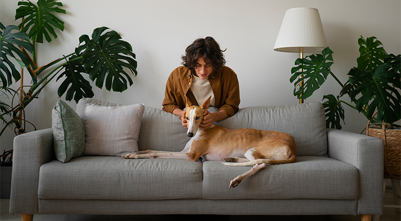 Persona con su mascota en su casa